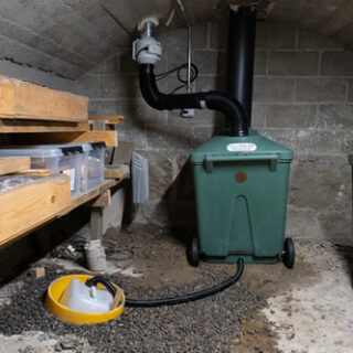 Green Toilet lux under in basement
