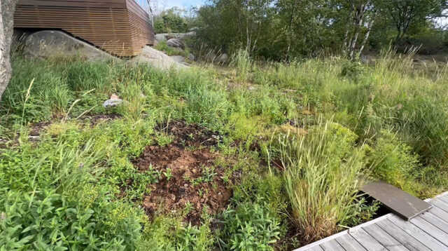 What does the compost look like after emptying