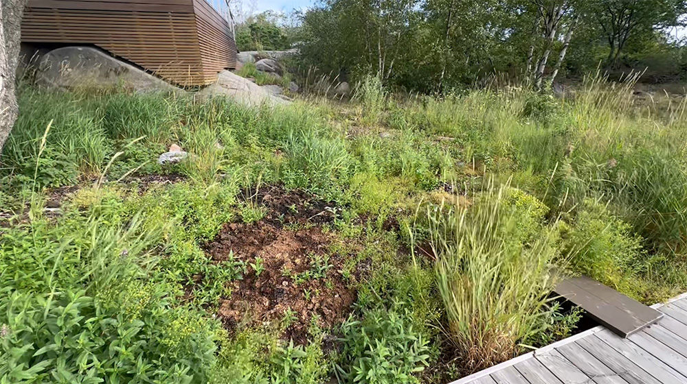 What does the compost look like after emptying