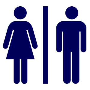public use dry toilets icon blue