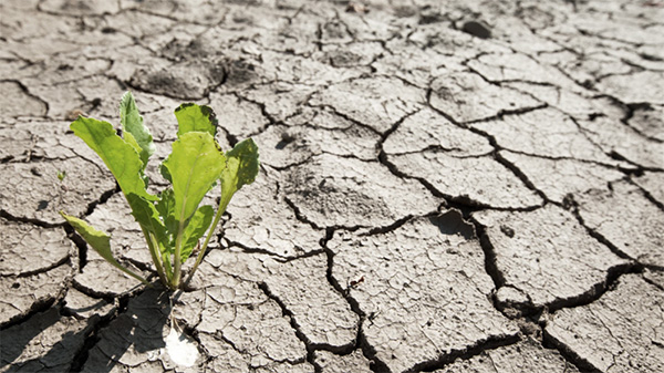 Environmental Concerns