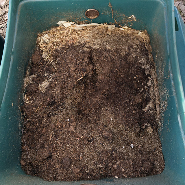 Image of compost inside Green Toilet 330