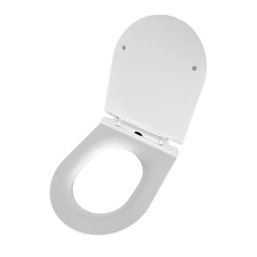 Toilet seat
