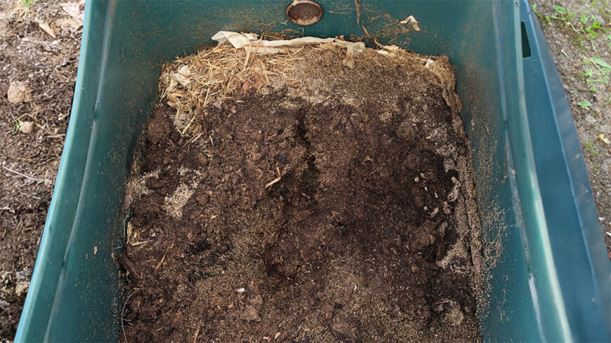 What Does Poop Look Like Inside a Composting Toilet - Is It Gross