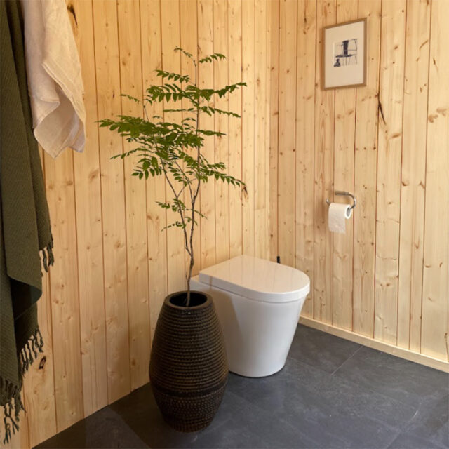 dry porcelain toilet in a modern bathroom