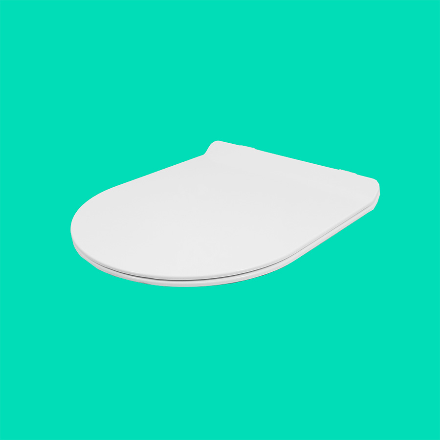 Toilet Seat
