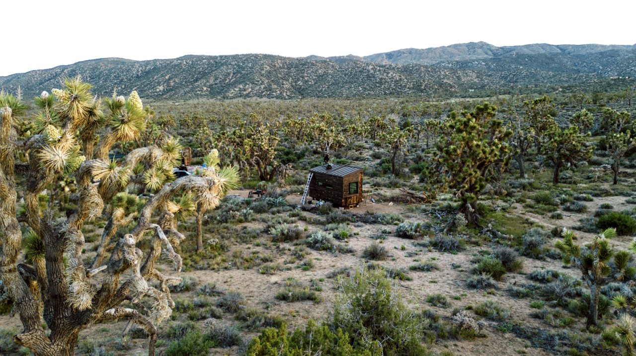 A wide view of a small off-grid tiny house in a Joshua tree forest with mountains behind
